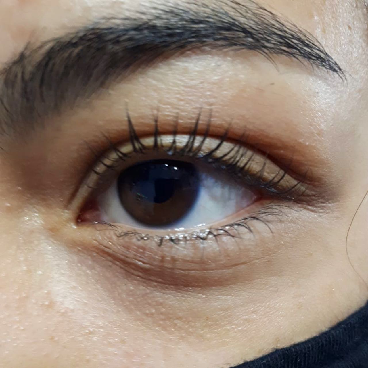 Primer plano de un ojo con las pestañas levantadas por un lifting y la ceja completa encima
